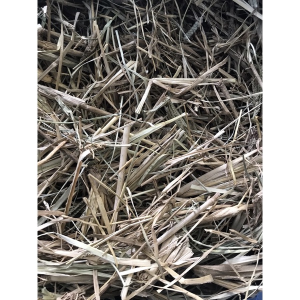 CỎ MẦN TRẦU KHÔ 1KG