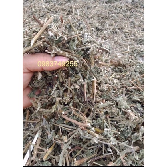 HƯƠNG NHU KHÔ 1kg