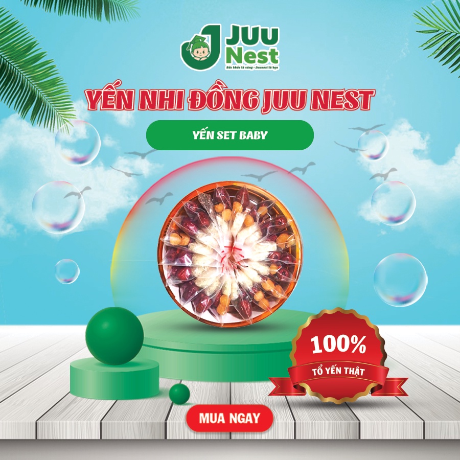 Lẻ Set Yến Sào Baby Tặng Kèm Đồ Chưng Sẵn, Viên Tổ Yến Vụn Tinh Chế Nguyên Chất Juu Nest
