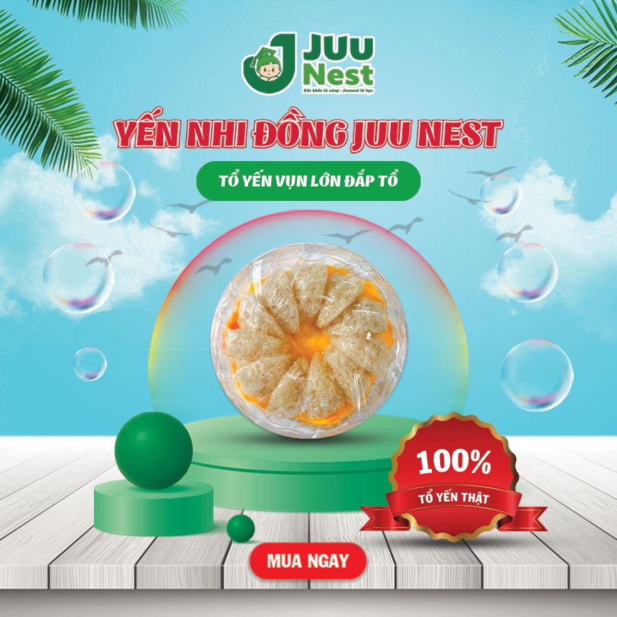 Tổ yến tinh chế 1 lớp sợi full mặt, tổ yến tinh chế nguyên chất thượng hạng