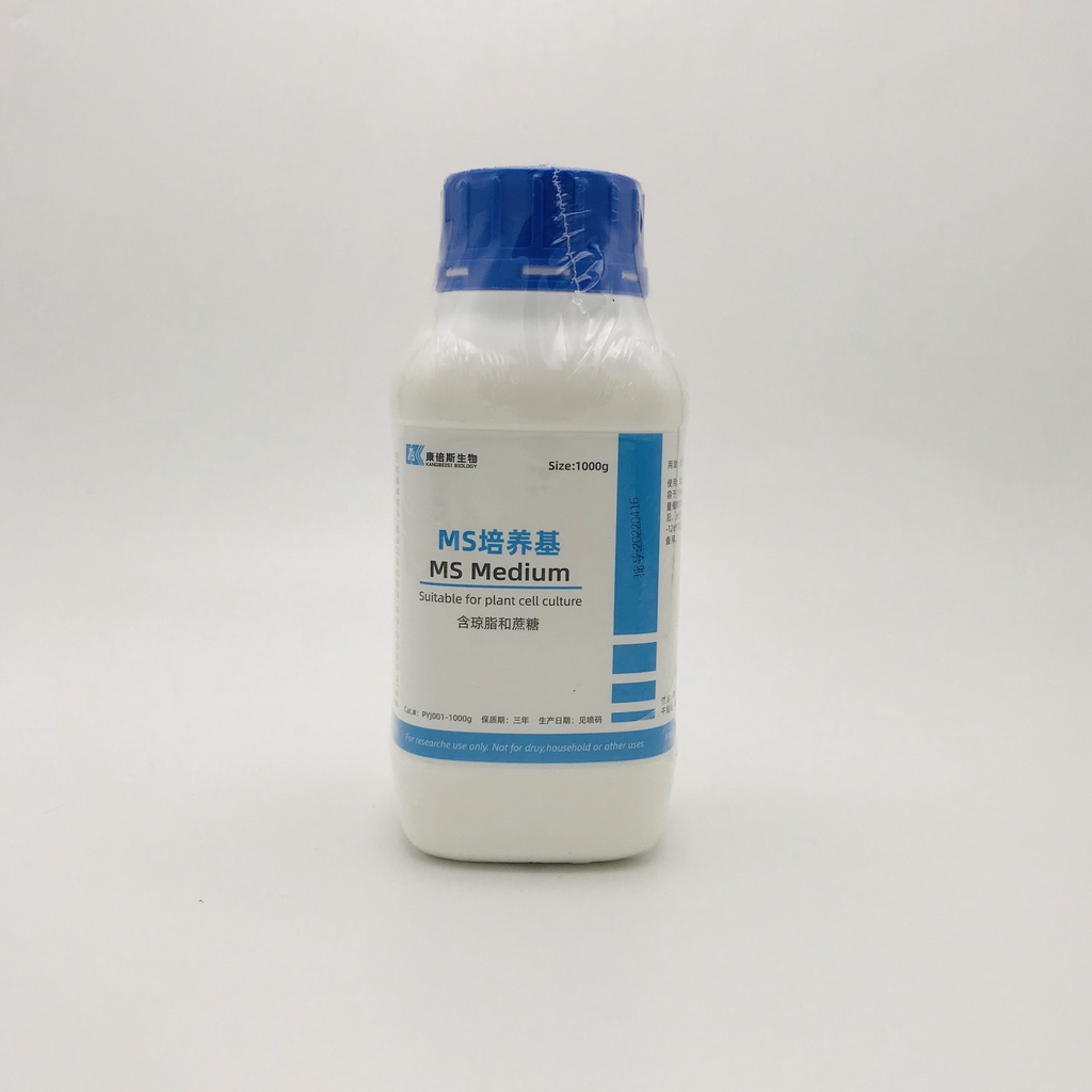 Môi trường MS Trung Quốc