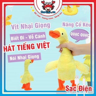 Vịt nhại giọng biết nói biết đi biết hát-vịt poka