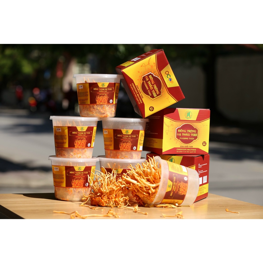 Đông Trùng Hạ Thảo Tươi Cao Cấp 125Gr - Thế Giới Đông Trùng Hạ Thảo