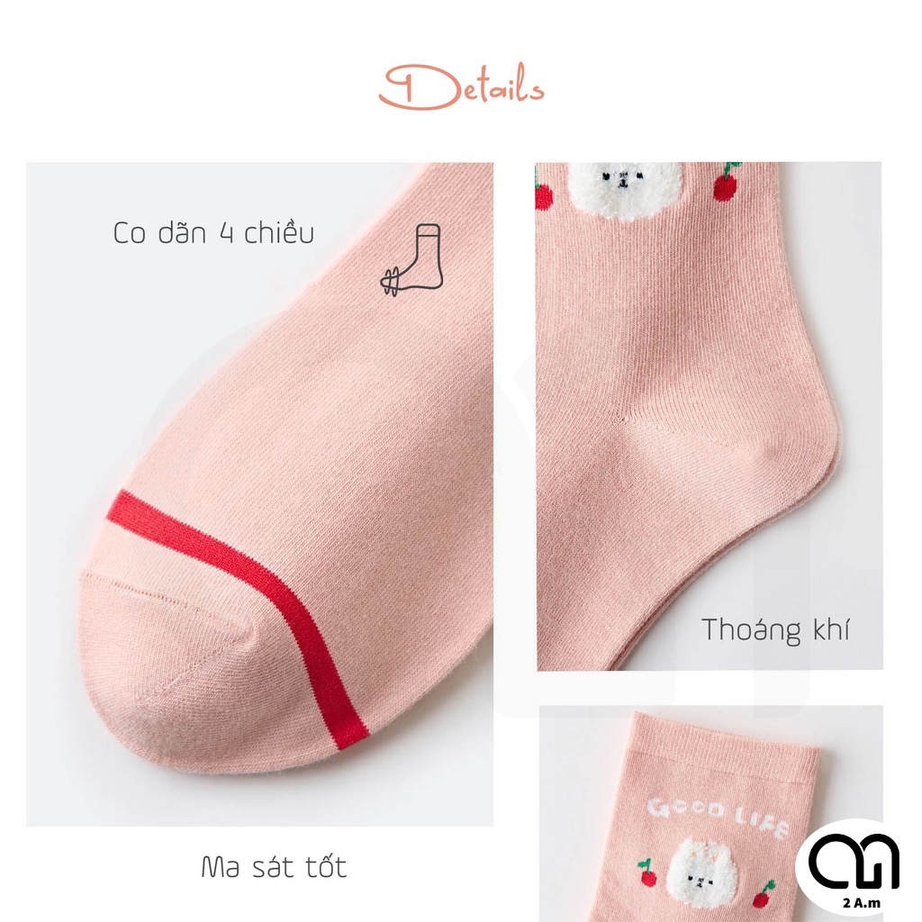 Tất Vớ Cổ Cao Nữ 5 Màu Đẹp Thời Trang Thêu Họa Tiết Dễ Thương Chất Liệu Cotton