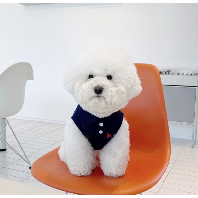 ÁO SƠ MI POLO THỂ THAO THÊU CHÓ TEDDY DỄ THƯƠNG MÁT MẺ MÙA HÈ CHO THÚ CƯNG