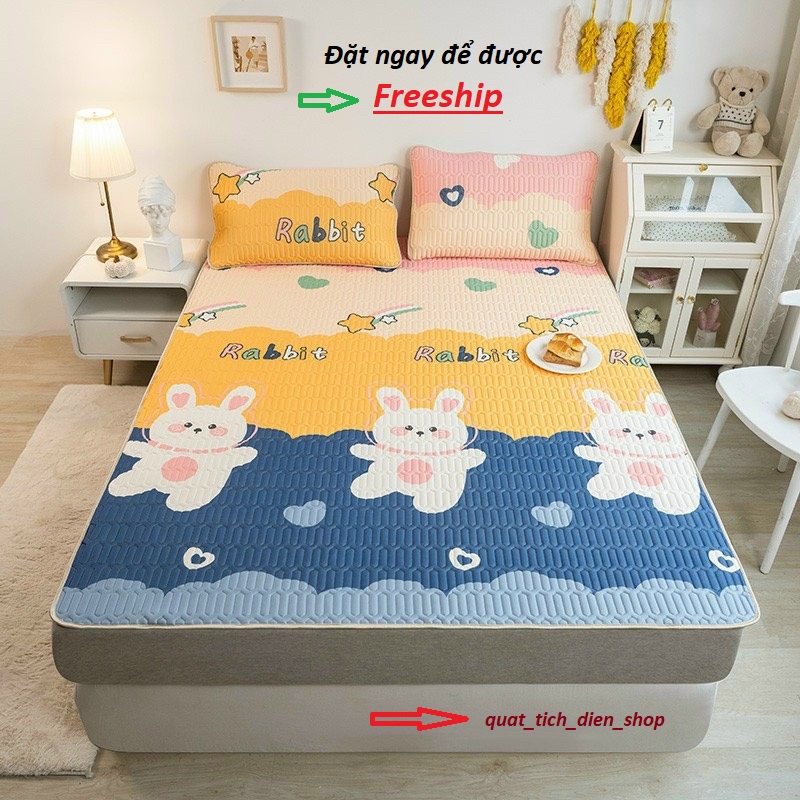 Chiếu Điều Hoà Mủ Cao Su Non 3D Tencel Latex Mát Mềm Mịn Nhập Khẩu Tặng Kèm Vỏ Gối SALE