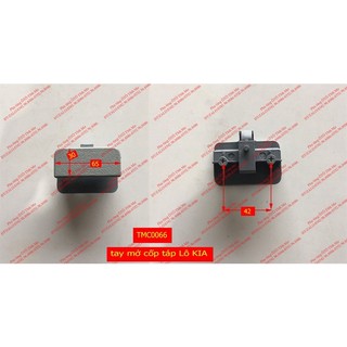 Tay mở cốp táp lô kia