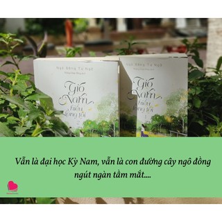 Sách - Gió nam hiểu lòng tôi (Ngô Đồng Tư Ngữ)