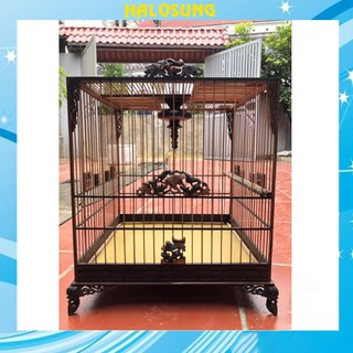 Lồng chim chào mào Halosung lồng chim vuông đấu gỗ cao cấp tặng kèm phụ kiện LC70