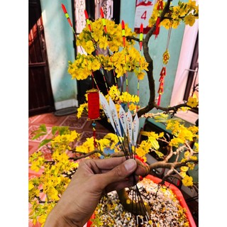 Phao câu đài nano đầu tăm to cực đẹp, phao câu đơn câu đài
