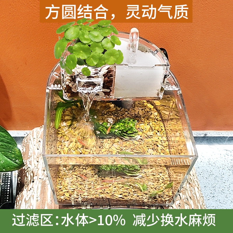 Bể cá hình bán nguyệt acrylic