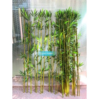 Cây giả - Combo 20 cây trúc dài 1m5 (Loại thường)