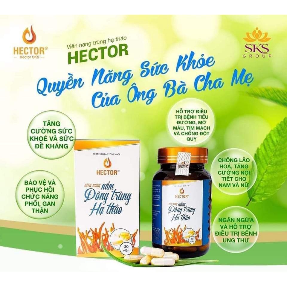 Viên Nang Đông Trùng Hạ Thảo HECTOR Nguyên Chất Giúp Tăng Cường Sức Khỏe, Hỗ Trợ Tiêu Hóa Hộp 30 viên