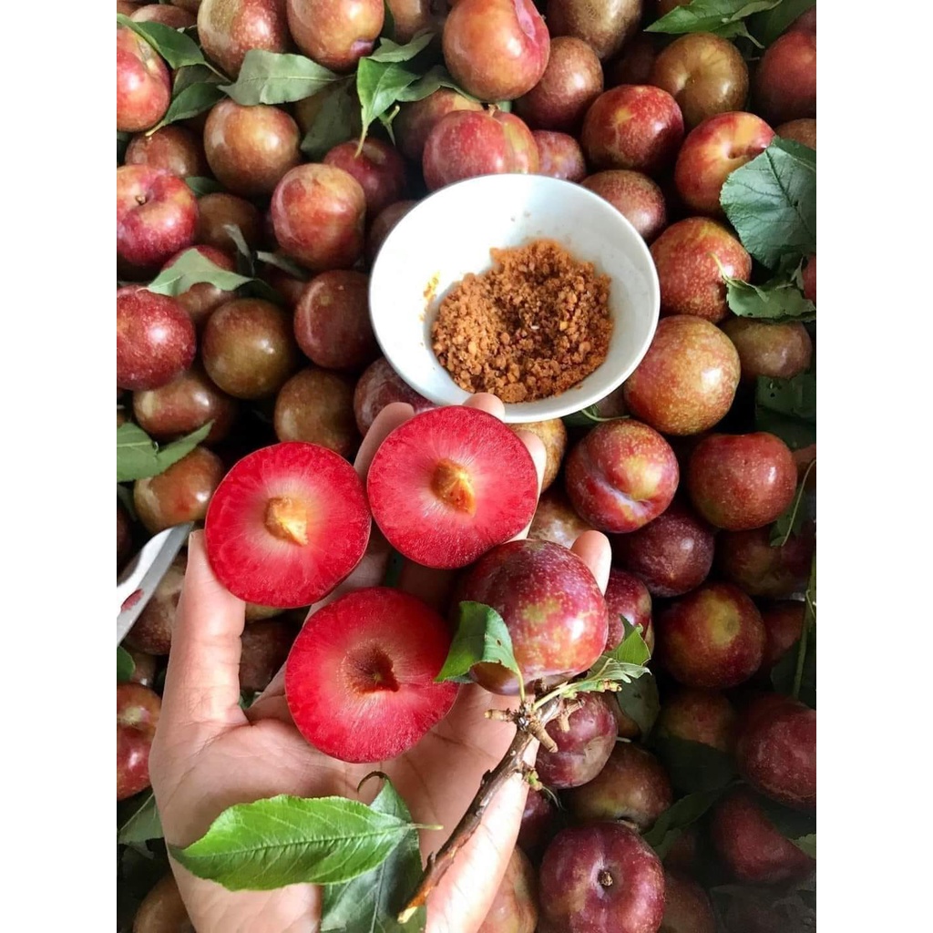 (HCM) 0.5Kg Mận Hà Nội Tặng Kèm Muối Tôm Tây Ninh, Mây Indo