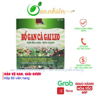 Bổ gan cà gai leo - Bảo vệ gan - Giải rượu