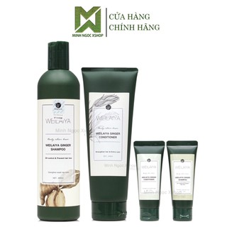 Dầu gội xả chống rụng kích mọc tóc gừng trắng WEILAIYA 400ML + 250ML tặng set mini chính hãng