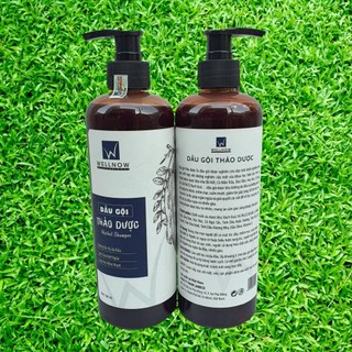 Dầu gội thảo dược Wellnow 500ml