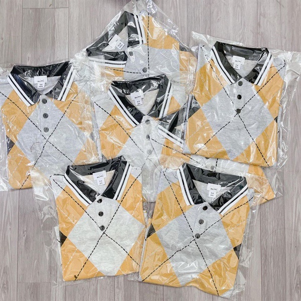 Set 2 Áo Polo Bé Trai Hàng Loại 1 2301AB