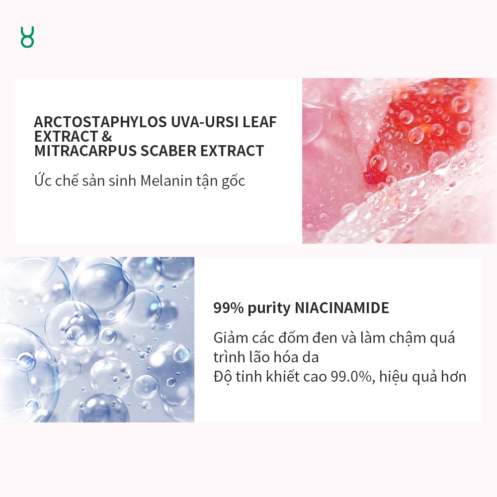FOCALSKIN Kem Dưỡng Ẩm DSM Niacinamide trắng sáng làn da 30g/5g