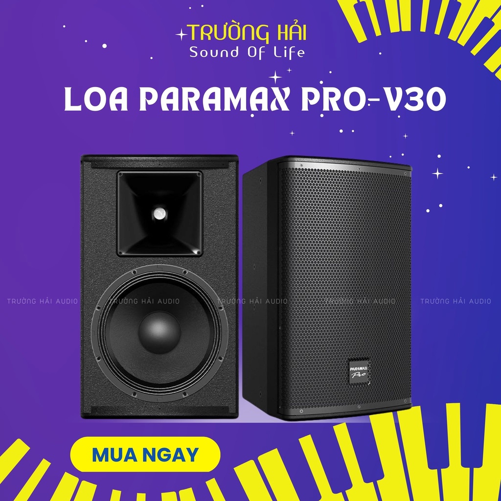 [Freeship hỏa tốc HCM]Loa karaoke Paramax PRO-V30, loa bluetooth karaoke gia đình công suất 500w - Bảo hành chính hãng