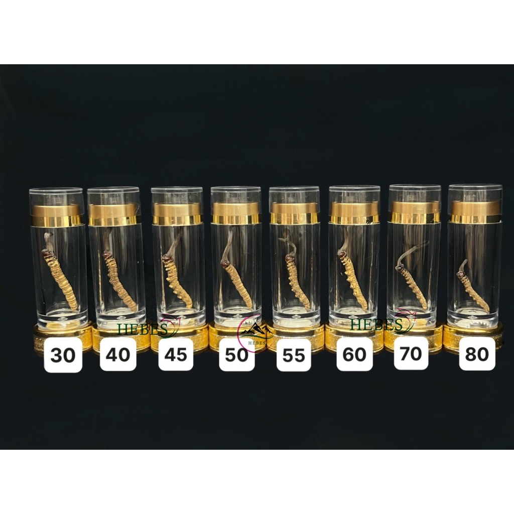 SET 8 CON MẪU ĐTHT MẮT ĐỎ BHUTAN