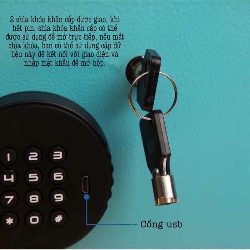 Két mã số điện tử 24cm