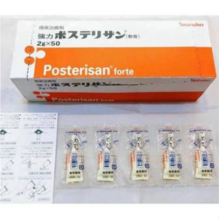 Kem bôi trĩ Posterisan Forte Nhật Bản 2gr x 5 tuýp