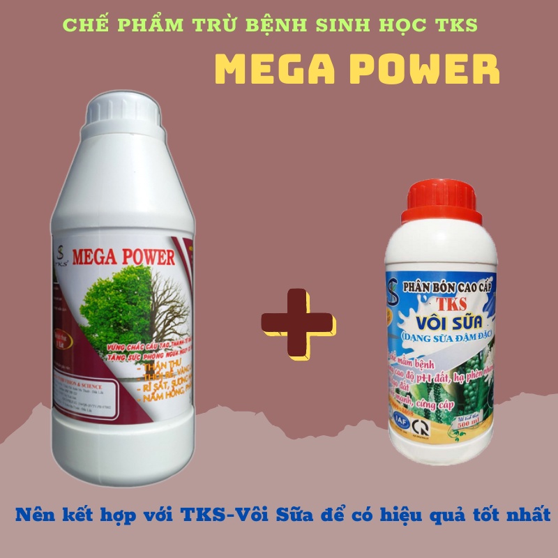 Phòng Trừ Bệnh Thán Thư, Vàng Lá, Thối Trái, Rỉ Sắt - TKS MEGA POWER CHAI 1L
