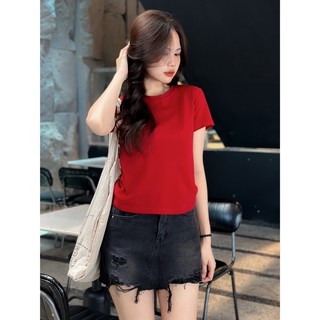 [RÁCH STORE] Áo Thun - Trơn - NaFan