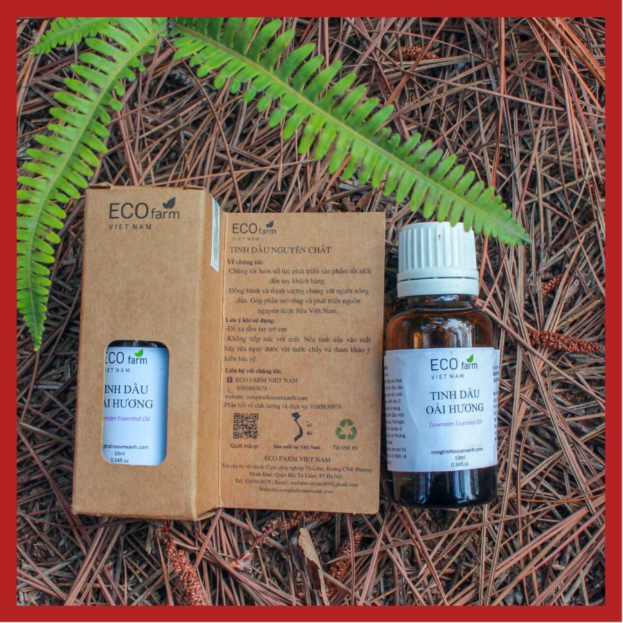 Tinh Dầu Oải Hương nhập Pháp 10ml Cao Cấp Thương hiệu Eco Việt Nam cam kết về chất lượng
