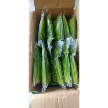 Đòng đòng nếp nương Điện Biên 1kg ngâm rượu