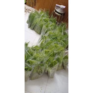 Đòng đòng nếp nương Điện Biên 1kg ngâm rượu