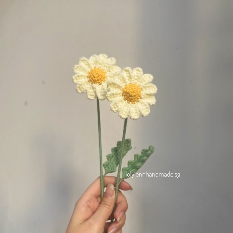 Hoa cúc bằng len/ Daisy flower