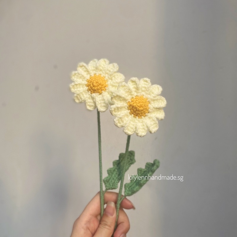 Hoa cúc bằng len/ Daisy flower