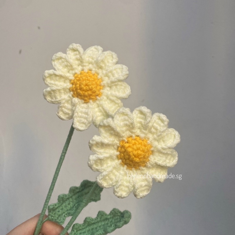 Hoa cúc bằng len/ Daisy flower