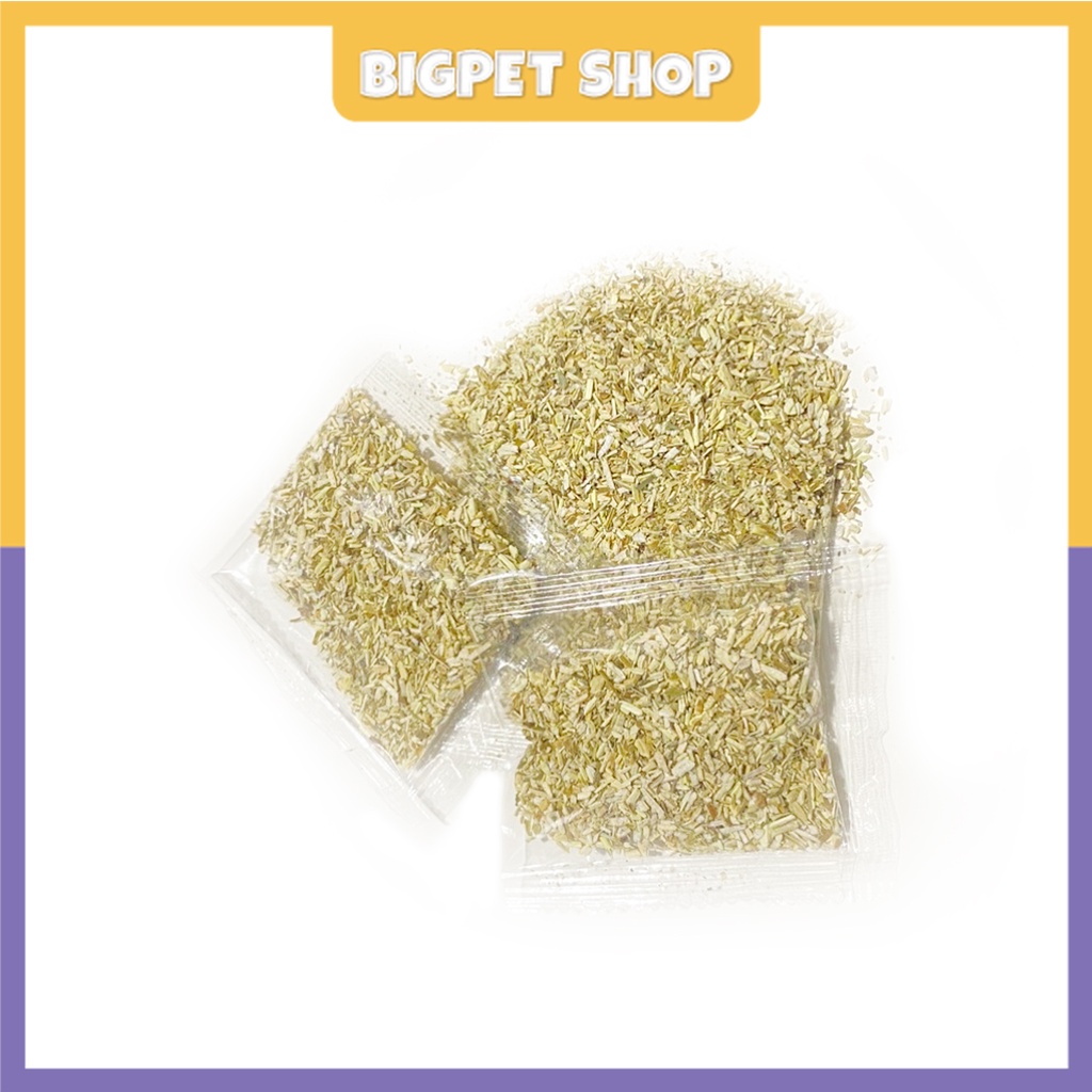 Cỏ bạc hà cho mèo phê pha xả streess