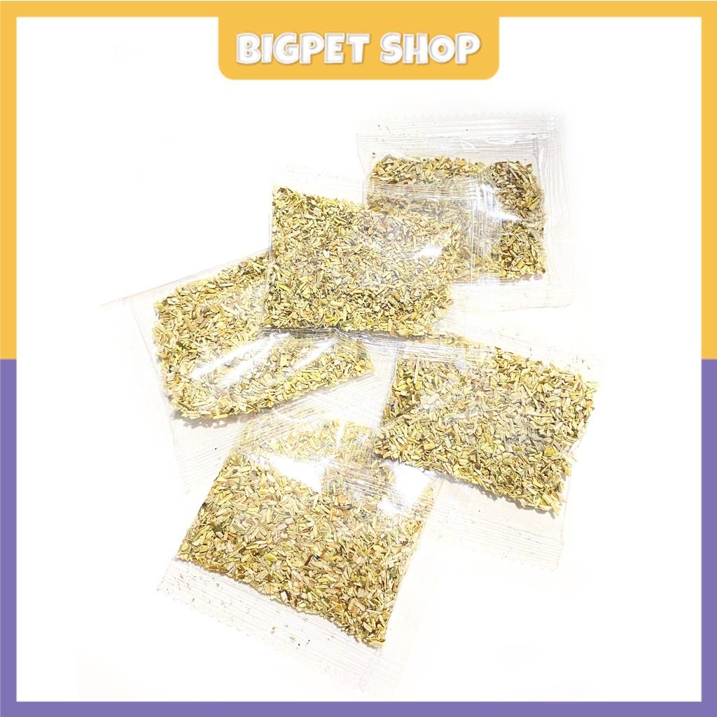 Cỏ bạc hà cho mèo phê pha xả streess