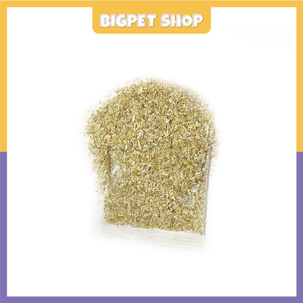 Cỏ bạc hà cho mèo phê pha xả streess