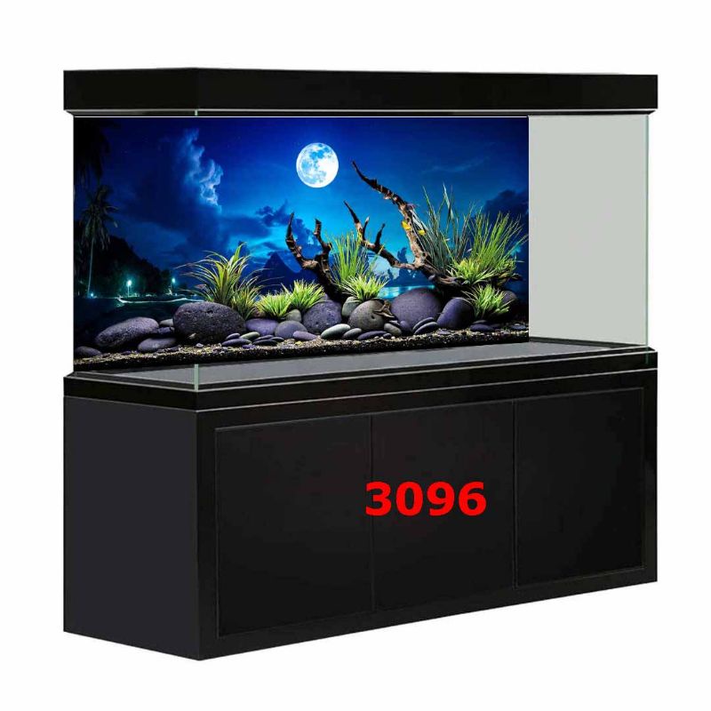 Tranh 3D dán bể cá
