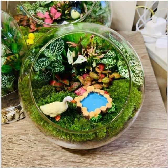 Sinh Thái. Cá Chép Bình Nước Hình Chai Nước Độc Đáo Bình Hoa Thủy Tinh Để Bàn Trang Trí Nội Thất gree