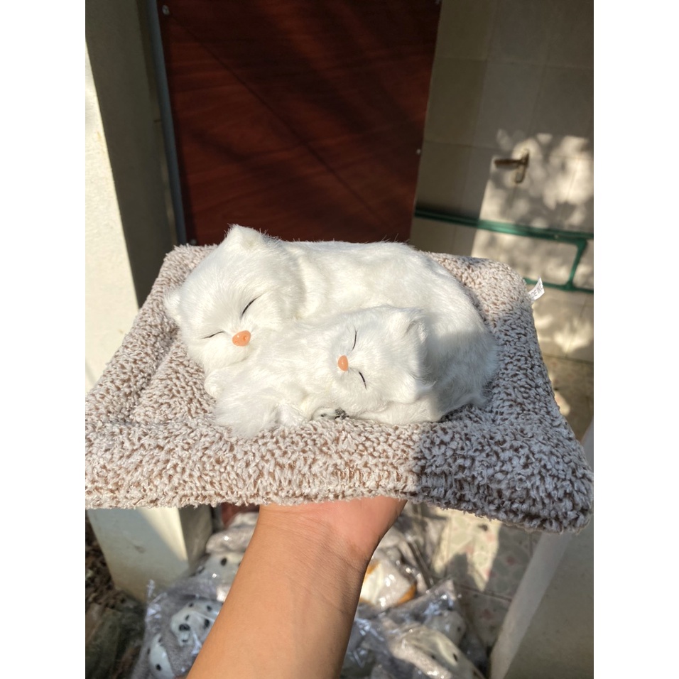 Mèo Trắng Đôi Thú bông GIỐNG THẬT 99% chó mèo sói gấu lõi than hoạt tính lọc không khí khử mùi trang trí xe hơ