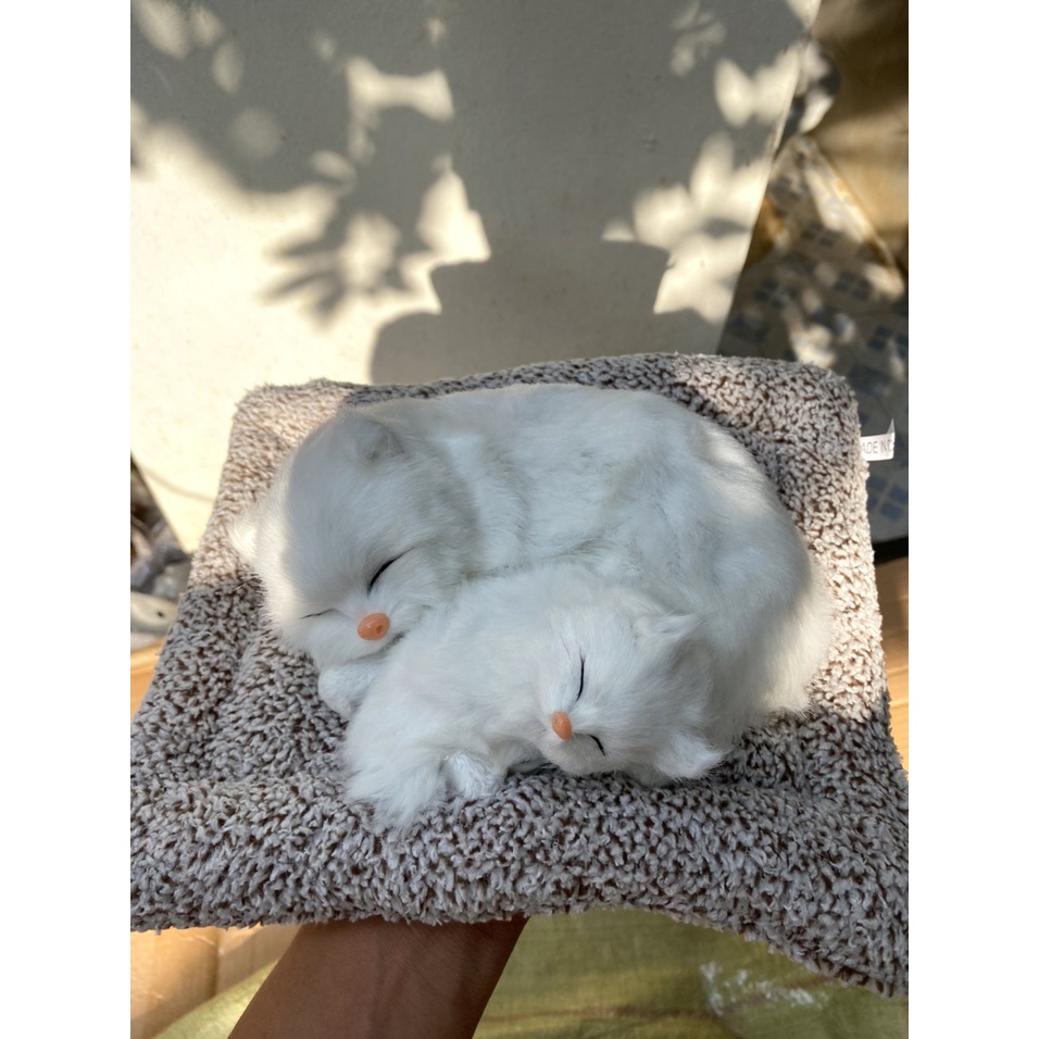 Mèo Trắng Đôi Thú bông GIỐNG THẬT 99% chó mèo sói gấu lõi than hoạt tính lọc không khí khử mùi trang trí xe hơ