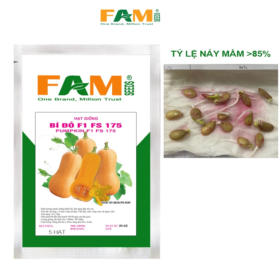 Hạt Giống Bí Đỏ F1 FS 175 - Giống Sinh Trưởng Manh, Khả Năng Đậu Trái Cao, Trái Nặng 1-1.2kg, Da Láng, Vỏ Vàng, Thịt Dày