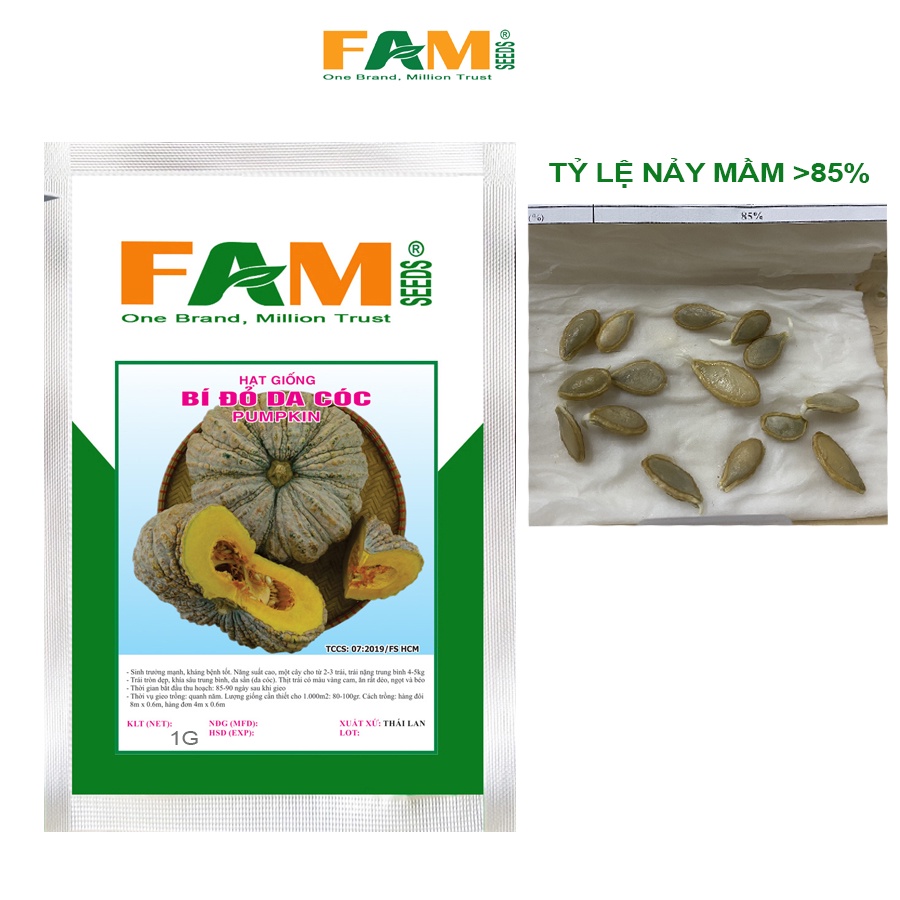 Hạt Giống Bí Đỏ Da Cóc - Giống Năng Suất Cao, Dây Cho 2-3 Trái, Nặng 4-5kg, Trái Tròn Dẹp, Khía Sâu, Da Sần, Thịt Vàng