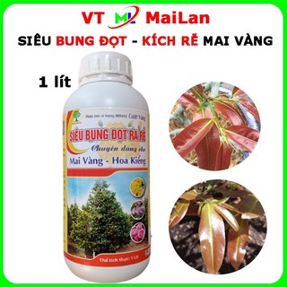 Siêu bung đọt Biomax ra rễ mai vàng