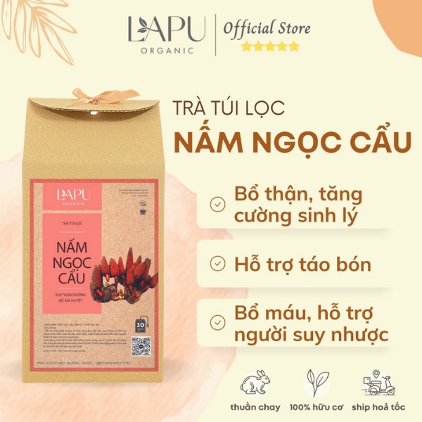 Trà bổ thận tráng dương túi lọc - Nấm ngọc cẩu hỗ trợ rối loạn cương dương, tăng cường sinh lý -100% thiên nhiên