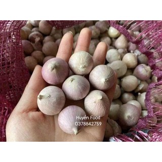 Tỏi cô đơn yên châu