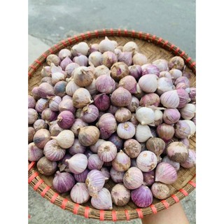 Tỏi Cô Đơn Yên Châu (500gr-1000gr)