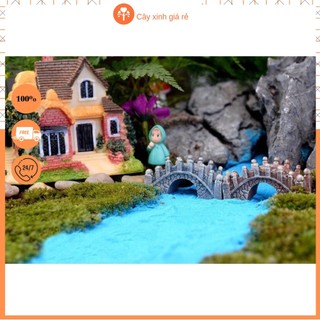 Cầu thang đá vòm trang trí tiểu cảnh, Terrarium