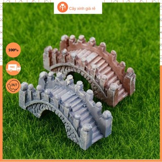 cầu thang đá vòm trang trí tiểu cảnh, Terrarium